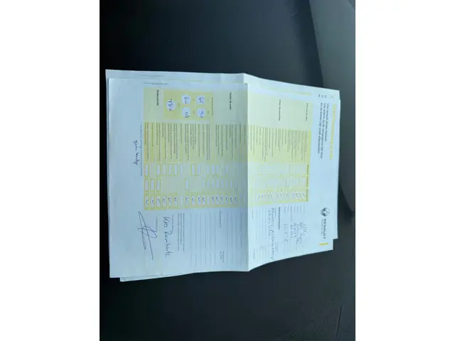 Renault Grand Scénic 1.2 TCe Bose 7p. 2017 Benzine 24