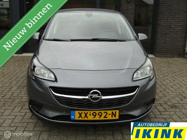 Opel Corsa 1.0 Turbo 120 Jaar Edition 2019 Benzine 2
