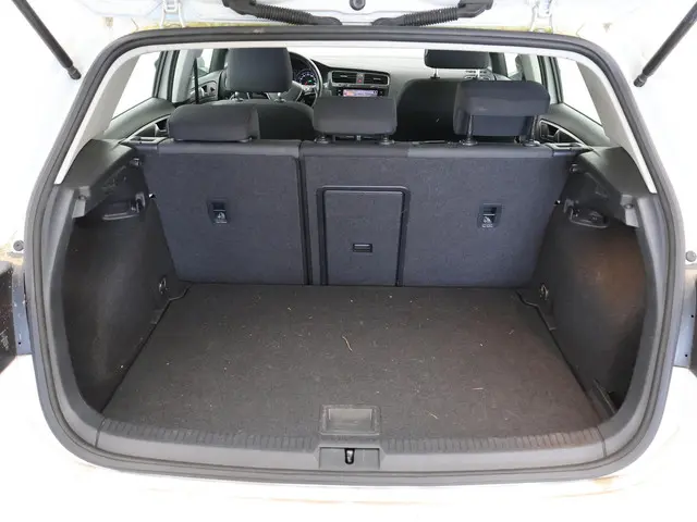 Volkswagen e-Golf E-DITION 2020 Elektrisch 10