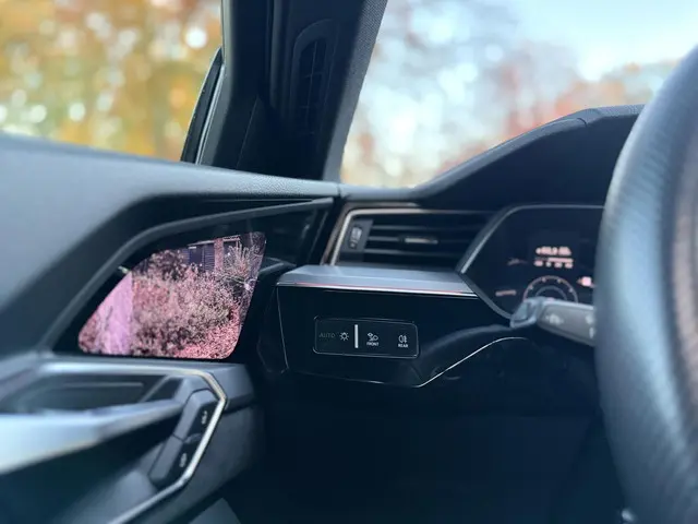 Audi e-tron S quattro 95 kWh 2021 Elektrisch 67