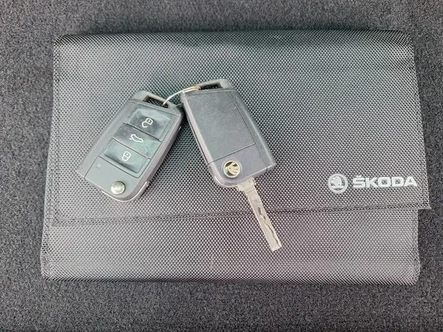 Škoda Karoq 1.0 TSI 2018 Benzine 31