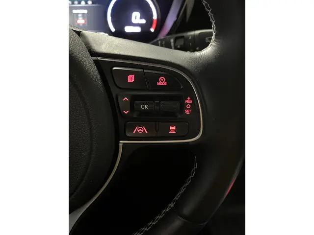 Kia e-Niro Edition 64 kWh 2021 Elektrisch 25