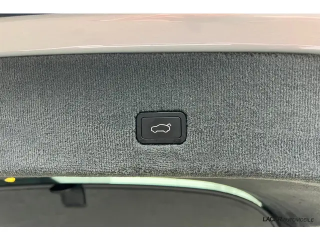 Lotus Eletre EDS 450 S 4WD 112 kWh 2023 Elektrisch 30