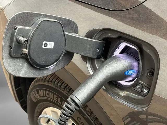 Ford Kuga Titanium X 2022 Hybride Benzine 22