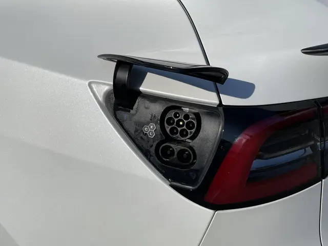 Tesla Model Y Performance AWD 75 kWh 2023 Elektrisch 9