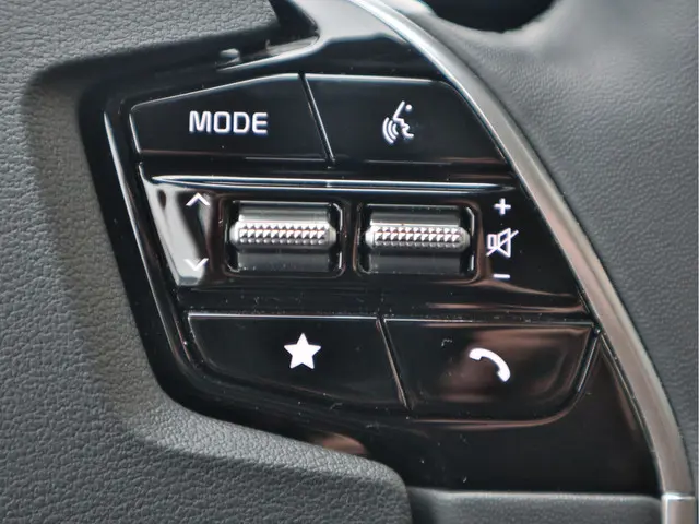 Kia Niro EV DynamicPlusLine 64.8 kWh 2022 Elektrisch 14