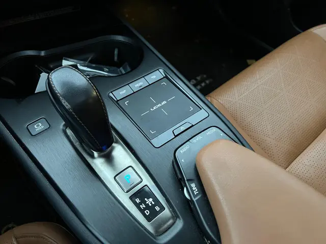 Lexus UX 300e Executive 54 kWh 2020 Elektrisch 25