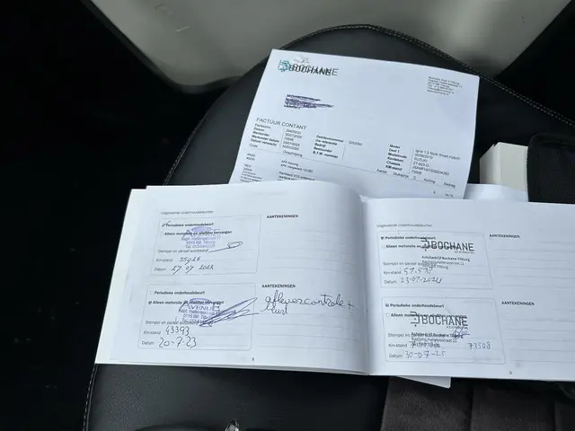 Suzuki Ignis 1.2 Smart Hybrid Stijl 2019 Benzine 21
