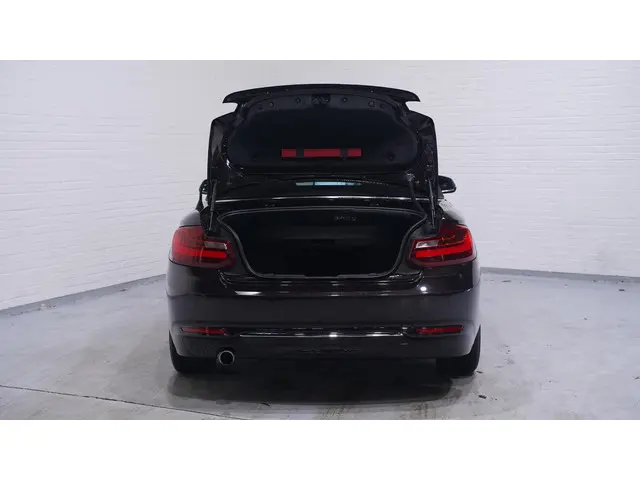 BMW 2 Serie Cabrio 218i Luxury 2016 Benzine 23