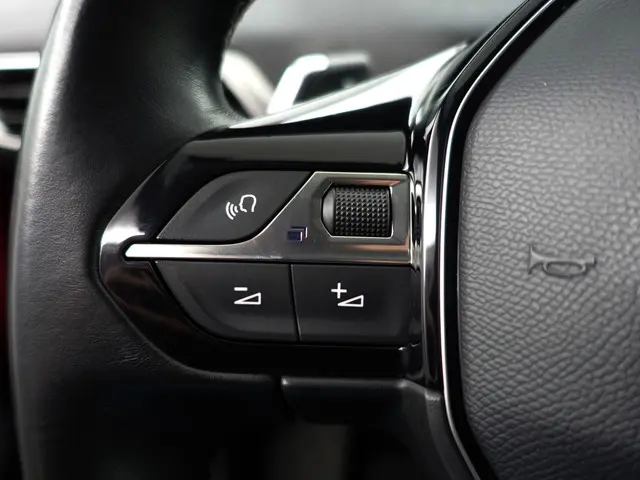 Peugeot 3008 1.2 PureTech GT Line Aut- 2020 Benzine 18