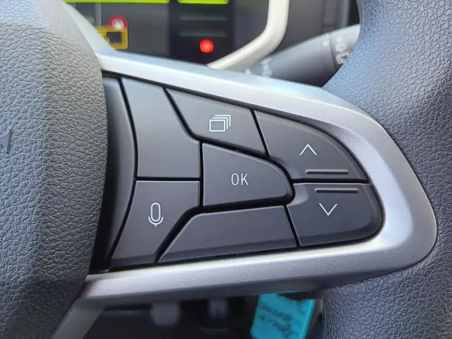 Dacia Spring Extreme 65 26.8 kWh 2024 Elektrisch 15