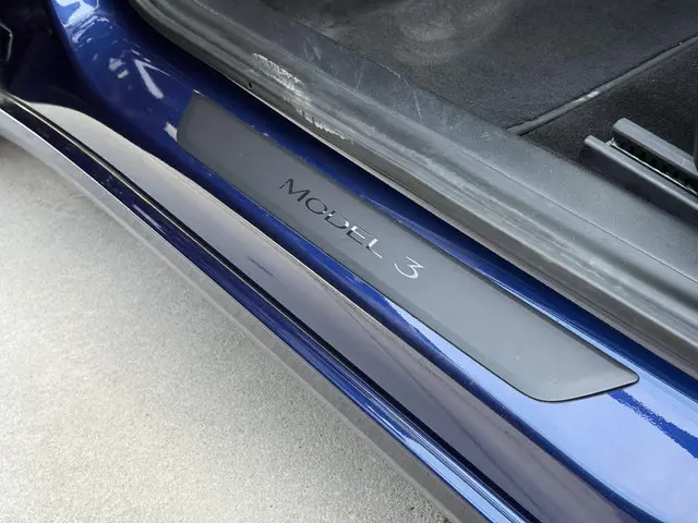 Tesla Model 3 Long Range AWD 75 kWh 2021 Elektrisch 32