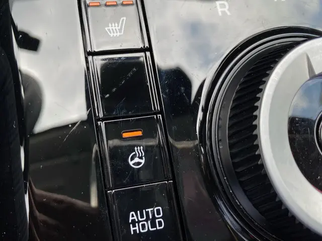 Kia Niro EV Edition 64.8 kWh 2023 Elektrisch 23