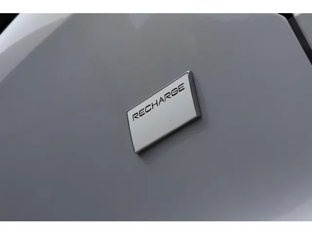 Volvo XC40 Recharge Plus 2022 Elektrisch 13