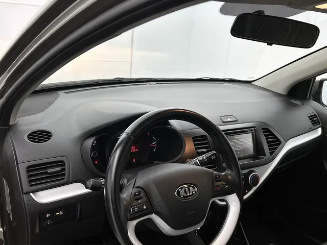 Kia Picanto 1.0 CVVT BusinessLine 2015 Benzine 17
