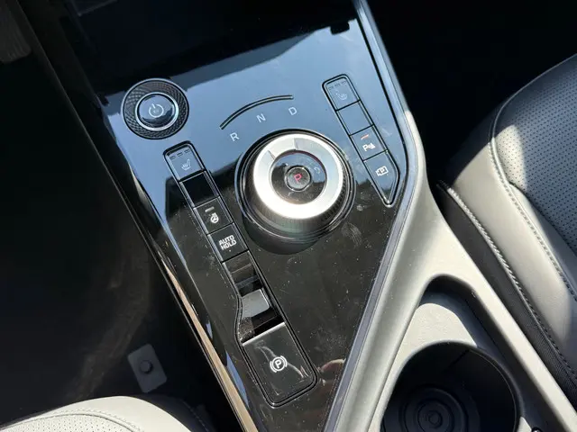 Kia Niro EV DynamicPlusLine 64.8 kWh 2024 Elektrisch 31