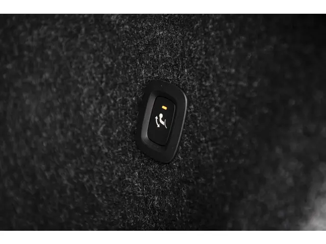 Volvo XC40 2.0 B4 Plus Dark 2024 Benzine 32