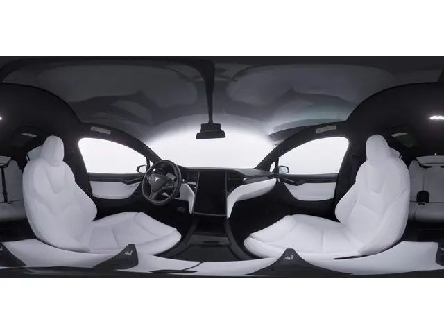 Tesla Model X Long Range 100Kwh 2020 Elektrisch 49