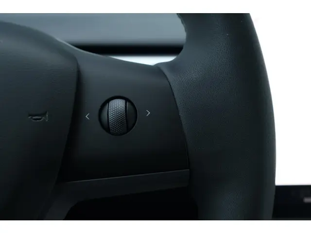 Tesla Model Y Long Range AWD 75 kWh 2023 Elektrisch 20