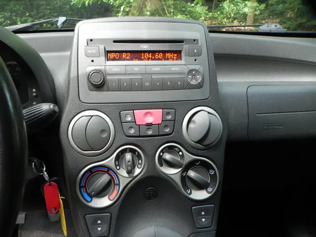 Fiat Panda 1.2 Edizione Cool 2012 Benzine 14