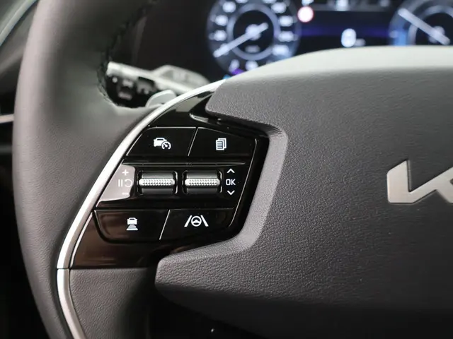 Kia Niro EV Edition Advanced 64.8 kWh 2024 Elektrisch 25