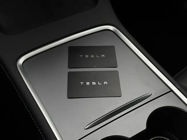 Tesla Model Y Long Range AWD Dual 2023 Elektrisch 29