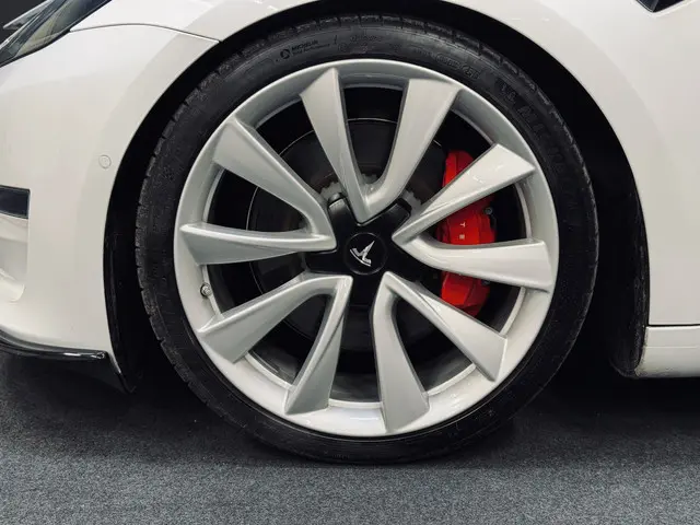 Tesla Model 3 Performance AWD 75 kWh 2019 Elektrisch 13