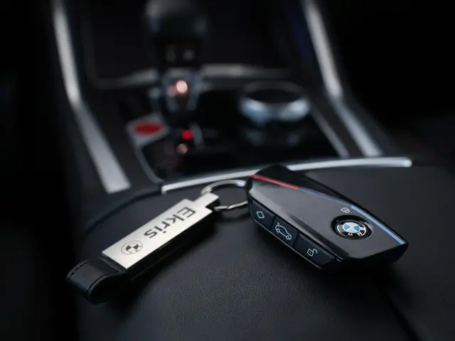 BMW XM PHEV Label Red 30 kWh 2025 Hybride Benzine 52