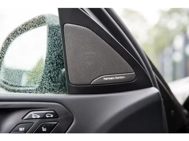 BMW X6 xDrive40i High Executive M Sport 2020 Benzine 28