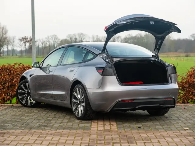 Tesla Model 3 RWD 60 kWh 2024 Elektrisch 49