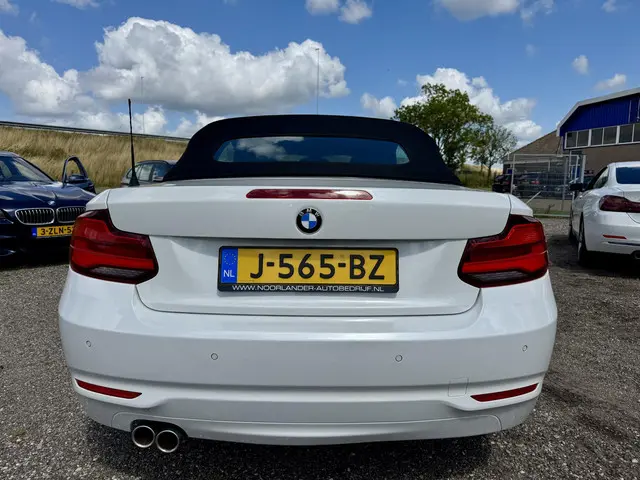 BMW 2 Serie Cabrio 220i Executive 2017 Benzine 9