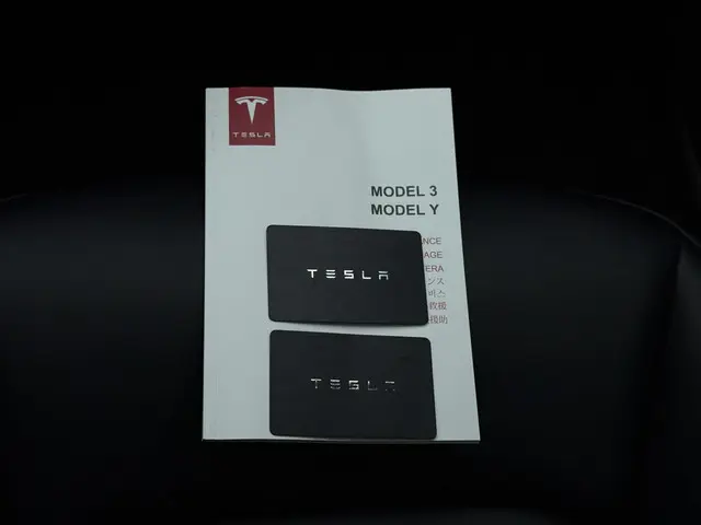 Tesla Model 3 Long Range AWD Dual 2020 Elektrisch 25