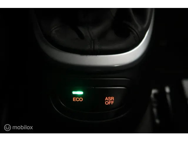 Fiat 500L 0.9 TwinAir Easy Eco 2013 Benzine 24