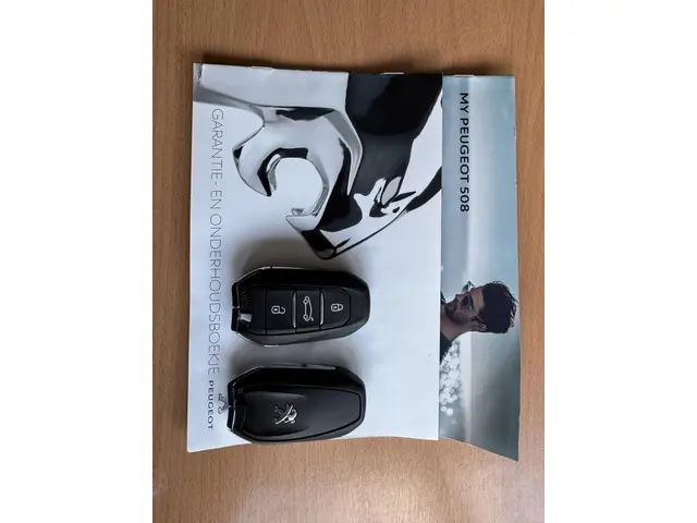 Peugeot 508 1.6 HYBRID GT 2021 Hybride Benzine 40