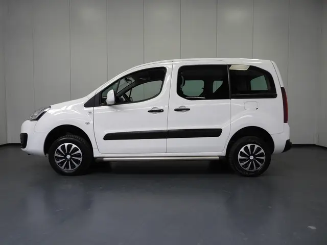 Citroën Berlingo 1.6 BlueHDi 4x4 Dangel 2016 Diesel 2