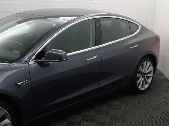 Tesla Model 3 Long Range AWD 75 kWh- 2019 Elektrisch 22