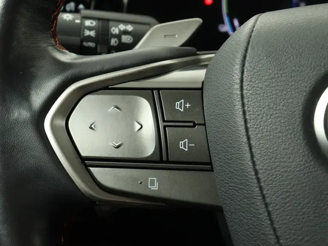 Lexus NX 450h+ Executive Limited 2022 Hybride Benzine 18
