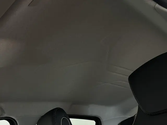 Renault ZOE R135 Iconic 52 kWh 2024 Elektrisch 41