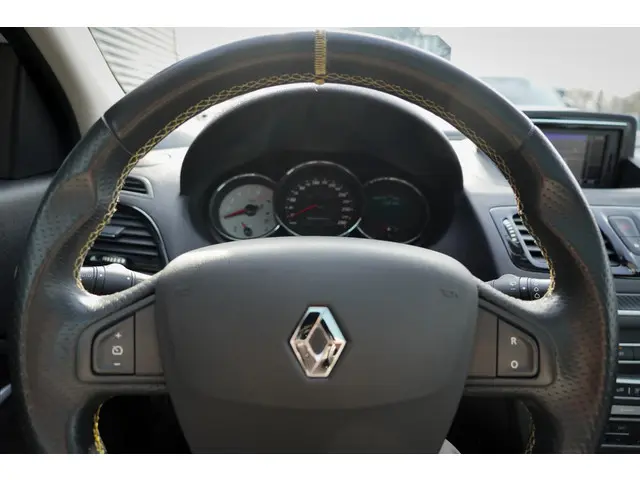 Renault Mégane Coupé 2.0 T Renault Sport 2014 Benzine 16
