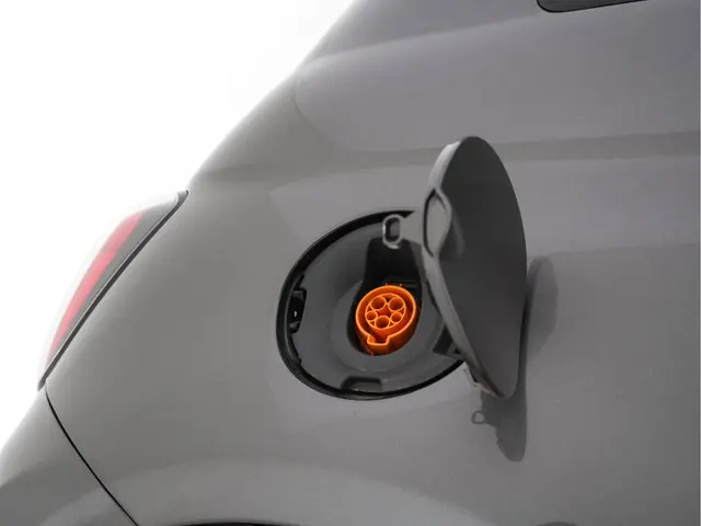 Fiat 500e 24kwh 2014 Elektrisch 20