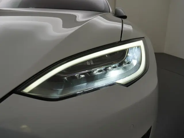 Tesla Model S Long Range RAVEN 2020 Elektrisch 14