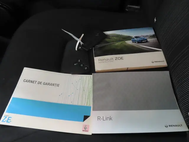 Renault ZOE R110 Iconic 41 kWh 2019 Elektrisch 5