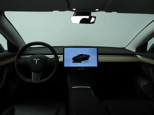 Tesla Model 3 Standard RWD Plus 60 kWh 2023 Elektrisch 11