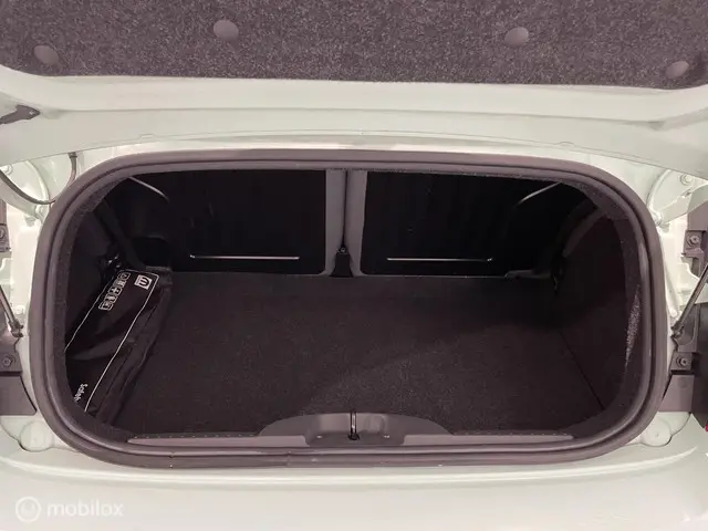 Fiat 500C 0.9 TwinAir Turbo Lounge Cabrio 2017 Benzine 31