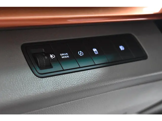 Farizon SV L2H2 83 kWh 2025 Elektrisch 17