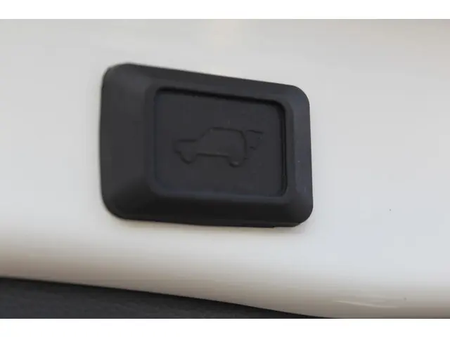 Toyota RAV4 2.5 Hybrid AWD Bi-Tone 2022 Hybride Benzine 7