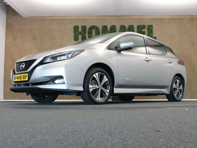 Nissan Leaf e+ Tekna 62 kWh 2019 Elektrisch 2