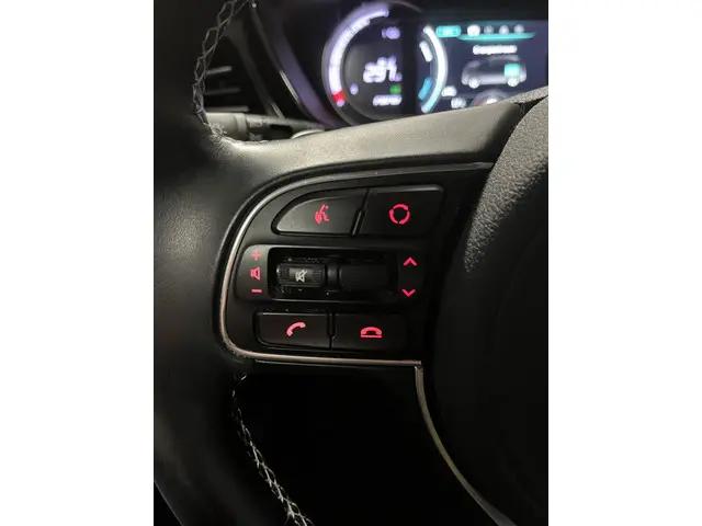 Kia e-Niro Edition 64 kWh 2021 Elektrisch 24