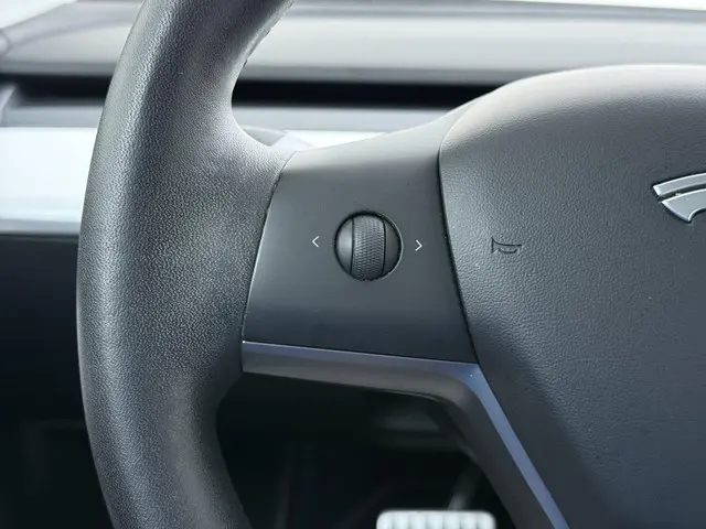 Tesla Model 3 Performance AWD 75 kWh 2019 Elektrisch 28