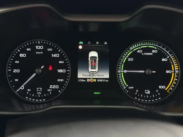 MG MG ZS EV Aut. Luxury 45kWh 2019 Elektrisch 10
